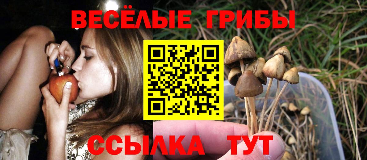 Железноводск  Галлюциногенные грибы GOLDEN TEACHER  Вход с VPN 