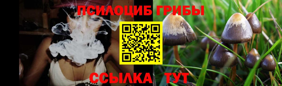 Псилоцибиновые грибы Magic Shrooms Железноводск